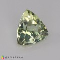Natural Amblygonite 1.90 Carats Yellowish Green Trilliant  8x5 mm Loose Gemstone - Image 5