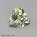 Natural Amblygonite 1.90 Carats Yellowish Green Trilliant  8x5 mm Loose Gemstone - Image 6