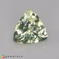 Natural Amblygonite 1.90 Carats Yellowish Green Trilliant  8x5 mm Loose Gemstone - Image 3