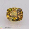 Natural Grossular garnet 1.74 Carats Golden Yellow Cushion 7x6 mm Loose Gemstone - Image 1