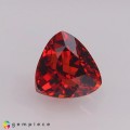 Natural Spessartite garnet 1.96 Carats Fire Red Trilliant  7x5 mm Loose Gemstone - Image 7