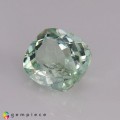 Natural Montebrasite 1.74 Carats Baby Green Cushion 8x7 mm Loose Gemstone - Image 3