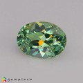 Natural Demantoid garnet 0.62 Carats Green Oval 6x4 mm Loose Gemstone - Image 7