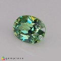 Natural Demantoid garnet 0.62 Carats Green Oval 6x4 mm Loose Gemstone - Image 3