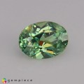 Natural Demantoid garnet 0.62 Carats Green Oval 6x4 mm Loose Gemstone - Image 1