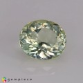 Natural Amblygonite 1.64 Carats Greenish Yellow Oval 0x0 mm Loose Gemstone - Image 7