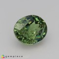 Natural Demantoid garnet 1.74 Carats Green Oval 7x6 mm Loose Gemstone - Image 5