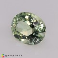 Natural Montebrasite 1.38 Carats Greenish Yellow Oval 8x6 mm Loose Gemstone - Image 3