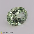 Natural Montebrasite 1.38 Carats Greenish Yellow Oval 8x6 mm Loose Gemstone - Image 5