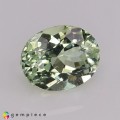 Natural Montebrasite 1.38 Carats Greenish Yellow Oval 8x6 mm Loose Gemstone - Image 6