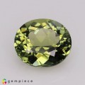 Natural Tourmaline 1.59 Carats Pastel Green Oval 8x7 mm Loose Gemstone - Image 1