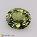 Natural Tourmaline 1.59 Carats Pastel Green Oval 8x7 mm Loose Gemstone - Image 3