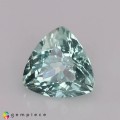 Natural Beryl 0.97 Carats Baby Mint Green Trilliant  7x5 mm Loose Gemstone - Image 2