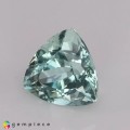 Natural Beryl 0.97 Carats Baby Mint Green Trilliant  7x5 mm Loose Gemstone - Image 3