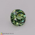 Natural Demantoid garnet 0.48 Carats Green Round 4x3 mm Loose Gemstone - Image 5