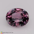 Natural Sizzling purple natural spinel  3.36 Carats Purple Oval 10x8 mm Loose Gemstone - Image 2