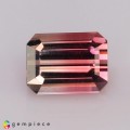 Natural Tourmaline 1.42 Carats Pink to Champagne Emerald 7x5 mm Loose Gemstone - Image 6