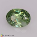 Natural Demantoid garnet 1.22 Carats Green Oval 7x5 mm Loose Gemstone - Image 2