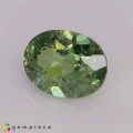 Natural Demantoid garnet 1.22 Carats Green Oval 7x5 mm Loose Gemstone - Image 3