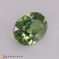 Natural Demantoid garnet 1.22 Carats Green Oval 7x5 mm Loose Gemstone - Image 6