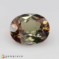 Natural Andalusite 2.79 Carats Multicolor Oval 10x8 mm Loose Gemstone - Image 1