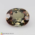 Natural Andalusite 2.79 Carats Multicolor Oval 10x8 mm Loose Gemstone - Image 3