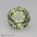 Natural Tourmaline 2.17 Carats Baby Green Yellow Round 8x6 mm Loose Gemstone - Image 2