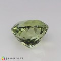 Natural Tourmaline 2.17 Carats Baby Green Yellow Round 8x6 mm Loose Gemstone - Image 4