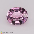 Natural Spinel 1.17 Carats Sweet Baby Pink Oval 7x6 mm Loose Gemstone - Image 1