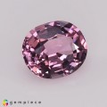 Natural Spinel 1.17 Carats Sweet Baby Pink Oval 7x6 mm Loose Gemstone - Image 6