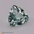 Natural Montebrasite 1.52 Carats Light Baby Green Trilliant  8x5 mm Loose Gemstone - Image 6