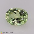 Natural Amblygonite 1.97 Carats Very Light Baby Greenish Yellow Oval 9x7 mm Loose Gemstone - Image 2