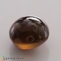 Natural Pargasite cats eye 4.35 Carats Dark Coffee brown Oval Cabochon 10x9 mm Loose Gemstone - Image 5