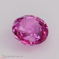Natural Sapphire 2.02 Carats Pink Oval 7x7 mm Loose Gemstone - Image 1