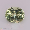 Natural Montebrasite 1.43 Carats Baby Green Oval 8x6 mm Loose Gemstone - Image 1