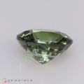 Natural Tourmaline 2.31 Carats Green Round 9x5 mm Loose Gemstone - Image 4