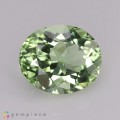Natural Peridot 2.67 Carats Baby Mint Green Oval 9x8 mm Loose Gemstone - Image 1
