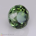 Natural Tourmaline 3.10 Carats Hunter Green Round 8x7 mm Loose Gemstone - Image 5