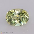 Natural Amblygonite 1.76 Carats Yellowish Green Oval 8x6 mm Loose Gemstone - Image 1