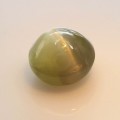 Natural Chrysoberyl cats eye 1.40 Carats Pastel Yellow Green Round Cabochon 6x4 mm Loose Gemstone - Image 5