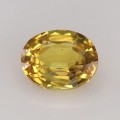 Natural Sapphire 1.10 Carats Golden Yellow Oval 7x5 mm Loose Gemstone - Image 1