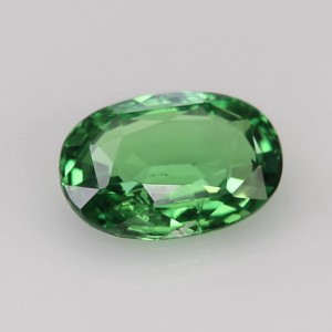 tsavorite garnet  2.45cts - 10x7mm tsavorite garnet  2.45cts - 10x7mm