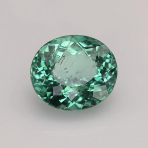 apatite  2.75cts - 9x8mm