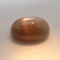 Natural Golden Star Moonstone 18.20 Carats Golden Honey Oval Cabochon 19x14 mm Loose Gemstone - Image 3