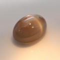 Natural Golden Star Moonstone 18.20 Carats Golden Honey Oval Cabochon 19x14 mm Loose Gemstone - Image 8