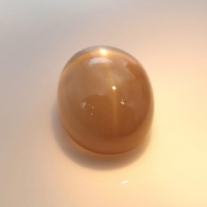 Golden Star Moonstone  18.20cts - 19x14mm Golden Star Moonstone  18.20cts - 19x14mm