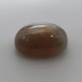 Natural Golden Star Moonstone 18.20 Carats Golden Honey Oval Cabochon 19x14 mm Loose Gemstone - Image 4