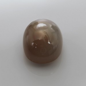 Golden Star Moonstone  18.20cts - 19x14mm Golden Star Moonstone  18.20cts - 19x14mm