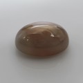 Natural Golden Star Moonstone 18.20 Carats Golden Honey Oval Cabochon 19x14 mm Loose Gemstone - Image 6
