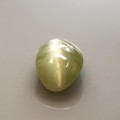 Natural Chrysoberyl cats eye 1.12 Carats Yellowish Green Oval Cabochon 7x5 mm Loose Gemstone - Image 2